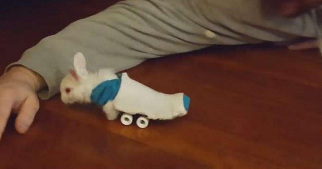 小兔灵机一动想出了一个办法,小兔子瘫痪