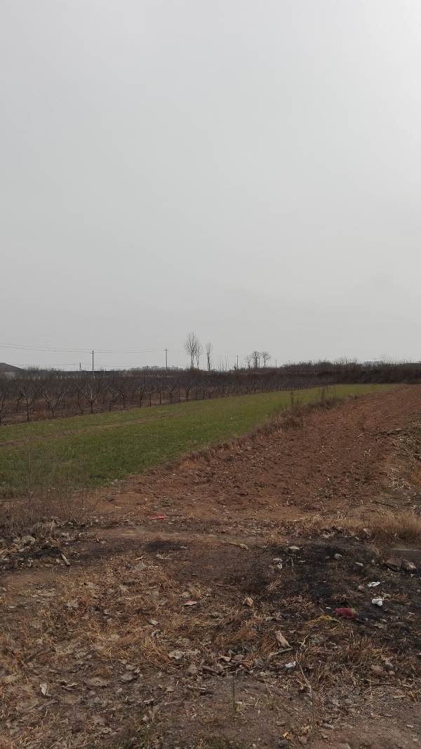 荣耀畅玩4x拆机图解,荣耀畅玩4x使用体验