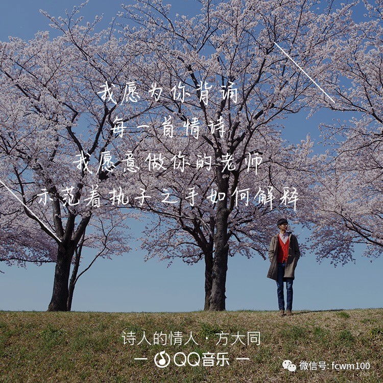 「喜欢你」用一句歌词，你会用哪一句？