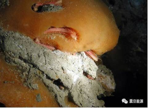 可燃冰是怎么形成的,可燃冰科普知识