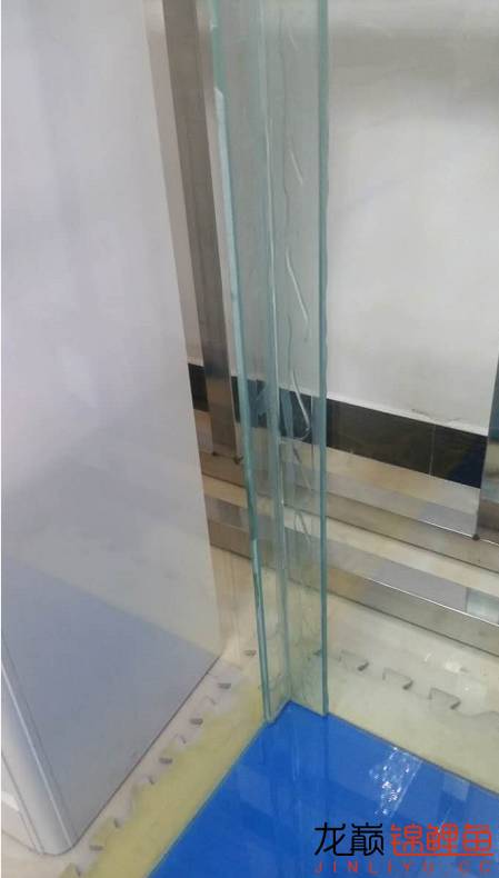 地缸推荐,家里可以搞个多大的地缸