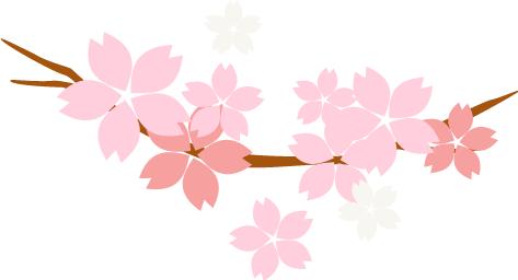 2017年招聘书记员条件,我院招录聘用制书记员