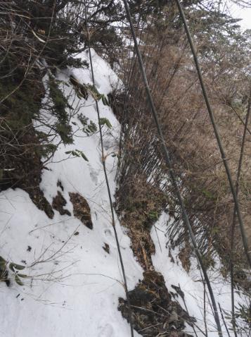 用我的经验告诉你，如何登顶苍山