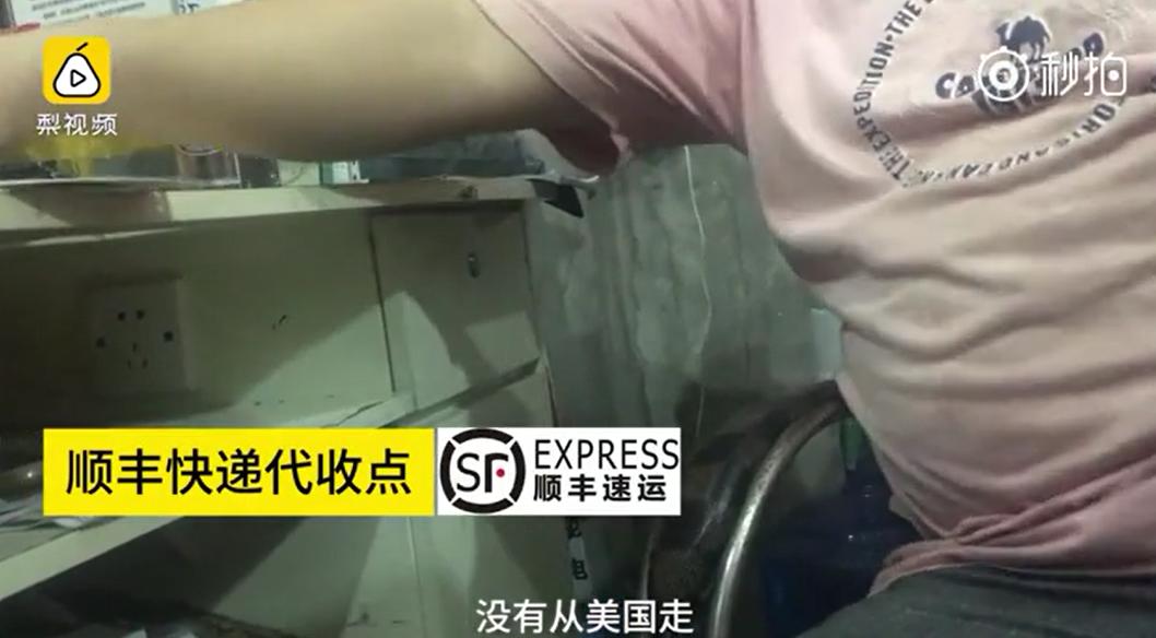 国内快递作假为海外代购,快递公司集体造假被曝光