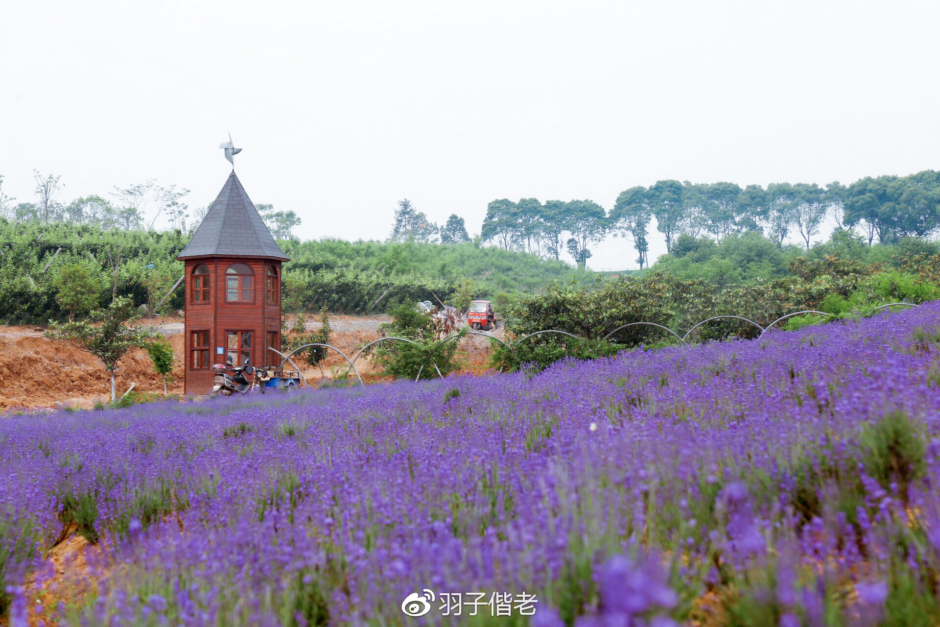 溧阳日日春农庄一日游,溧阳日日春农庄