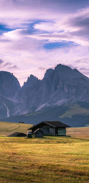 美到窒息,猎户座8895处理器——韩版三星s8系列