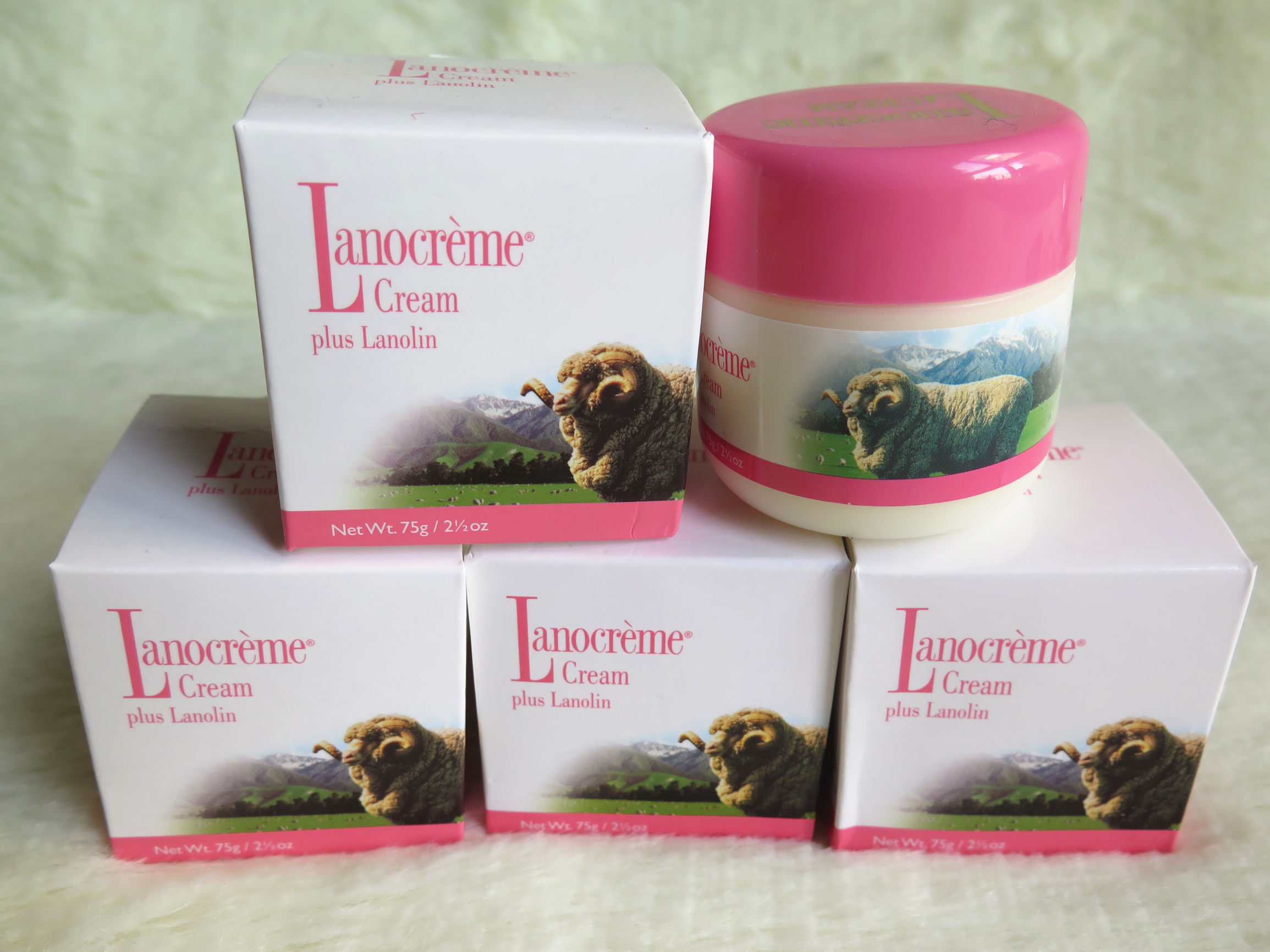 绵羊国,绵羊新西兰代购