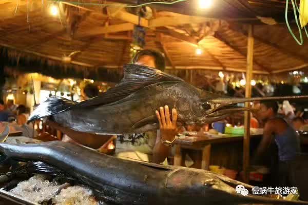 丽贝岛5天攻略,丽贝岛值不值得去