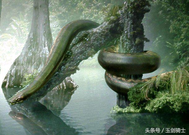 世界上最无畏惧的动物人称平头哥,世界十大凶猛动物平头哥