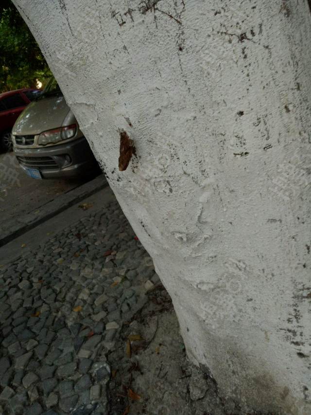 结婚堵门要红包搞笑问题,结婚堵门搞笑100个问题