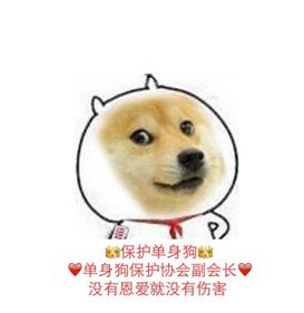 王者荣耀十大cp排行你最看好哪个,盘点王者荣耀中最甜的情侣cp