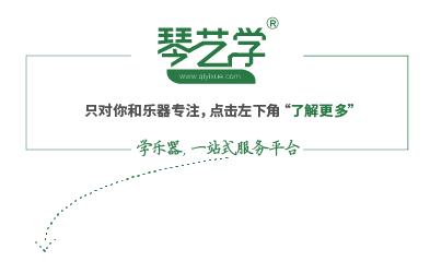 初学者学竖琴需要注意些什么,初学竖琴应该注意哪些