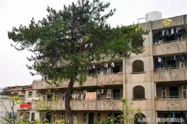 英德沙口的老乡，你们记忆中的家乡是不是这样的？