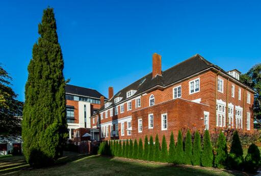 acg教育,对acg文化的认识和看法