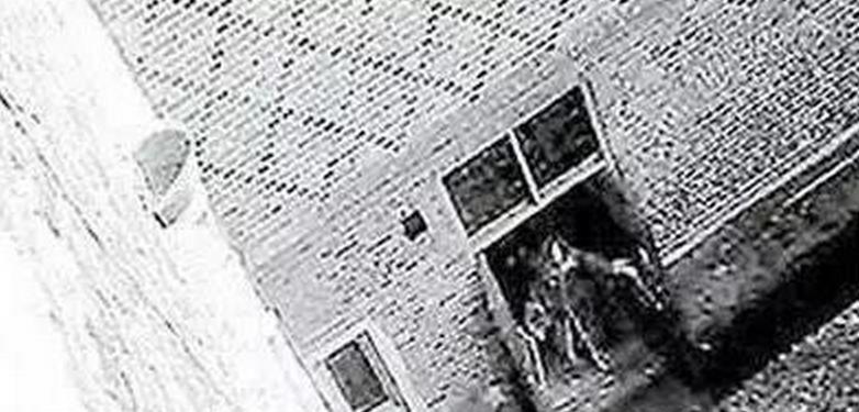 诡异却真实存在的事件,被真实记录下来的诡异事件