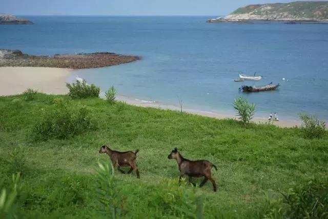 带着村花去旅行,带你去平潭旅游