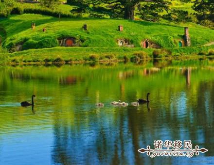 新西兰二类绿名单移民需要雅思吗,新西兰绿卡可以为父母申请移民吗