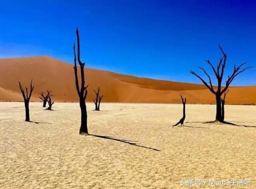 陈柏霖斑马外套同款,陈柏霖同款鞋子