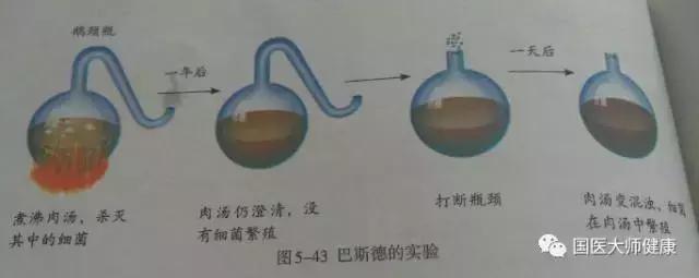 这种食物胜过人参,23种食物是天然良药