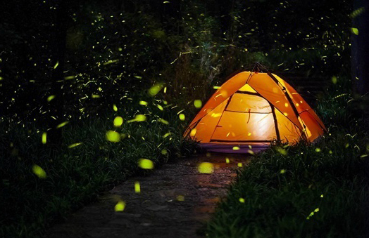 fkz帐篷,nfz帐篷效果图