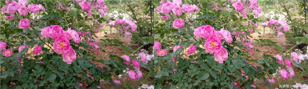 超逼真的裸眼3d壁纸手机,裸眼3d屏幕手机好用吗