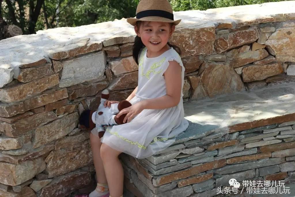 一次薰衣草之旅是如何变成采摘农家乐的?