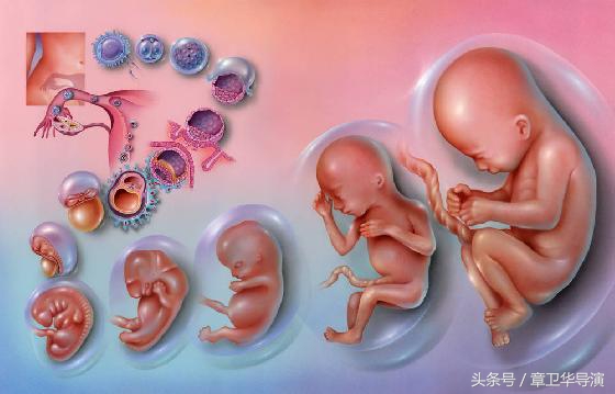 产检必做的几个检查,所谓的产检真能检测出问题吗