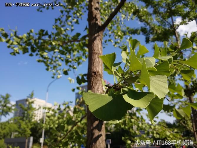 华为nova2s拍照,华为nova2s拍照怎么样