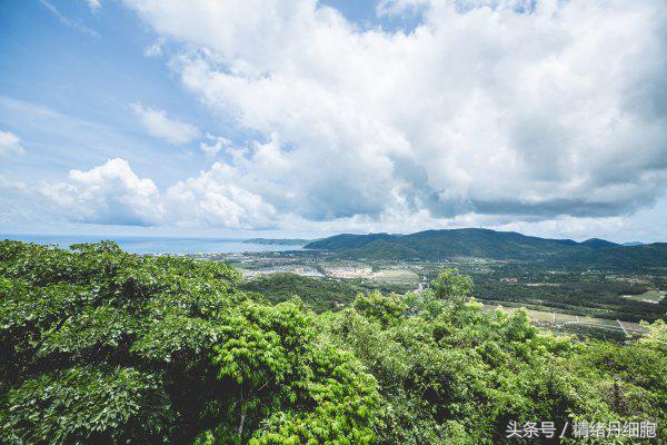 三亚亚龙湾美高梅度假酒店测评,三亚亚龙湾美高梅度假酒店电话