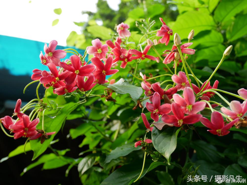 松下gf9可以自拍吗,带女朋友旅游拍照相机推荐