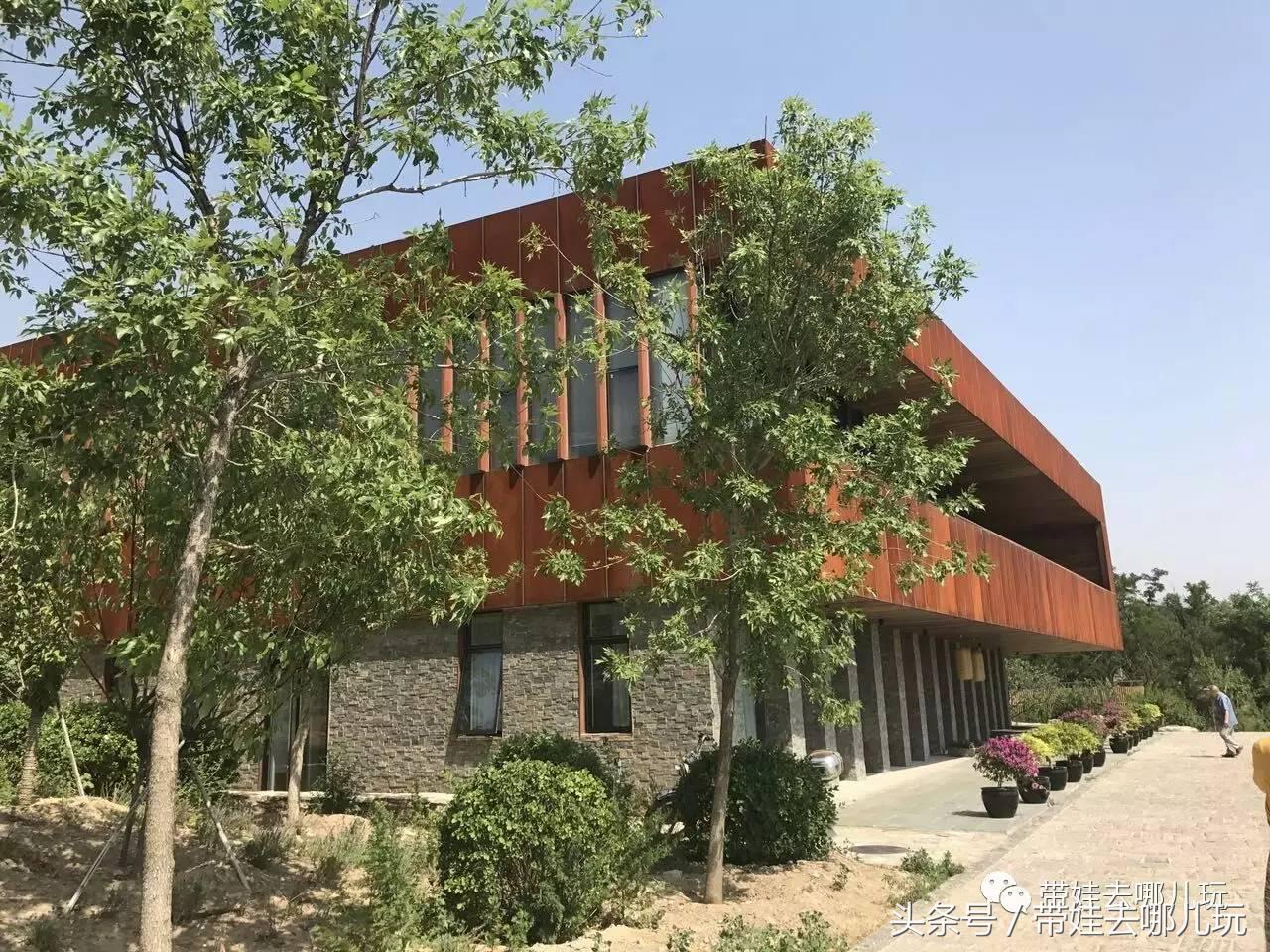 一次薰衣草之旅是如何变成采摘农家乐的?