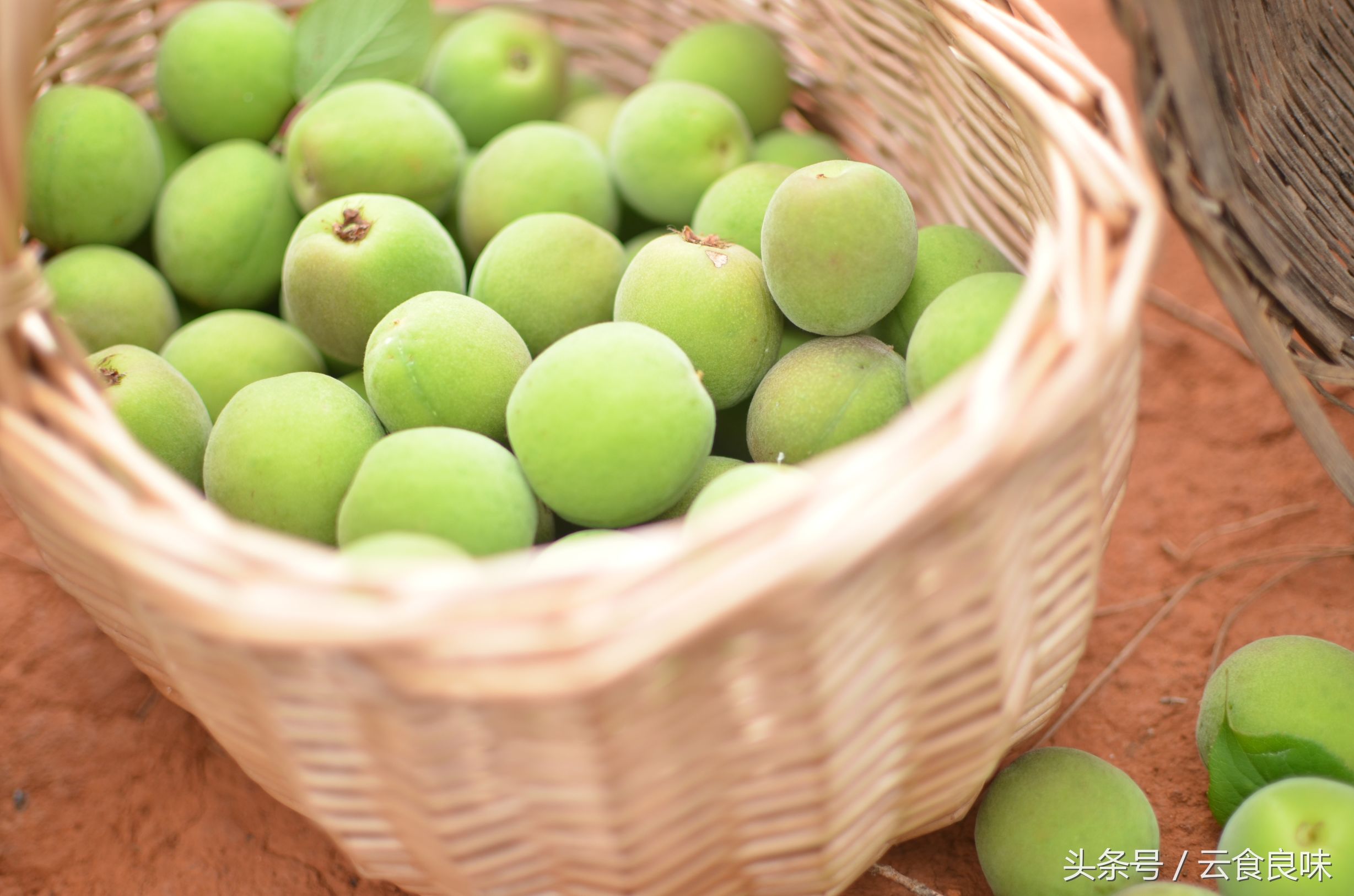 丽*青江**梅记|青梅煮酒话养生,正是初夏