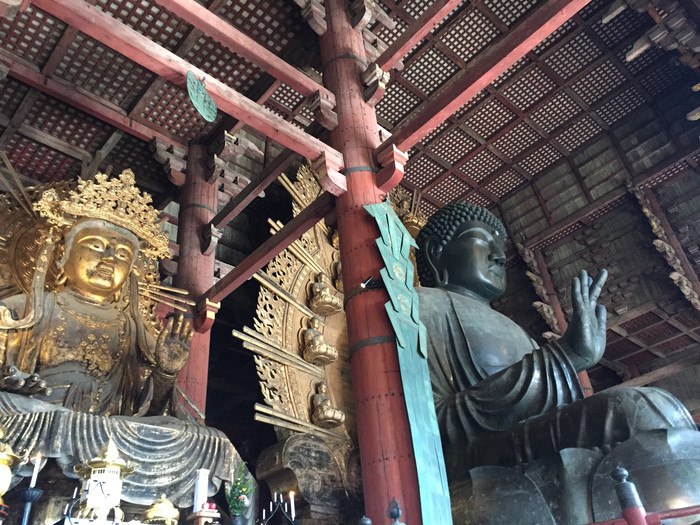 日本的冬日暖阳,日本的冰雪世界