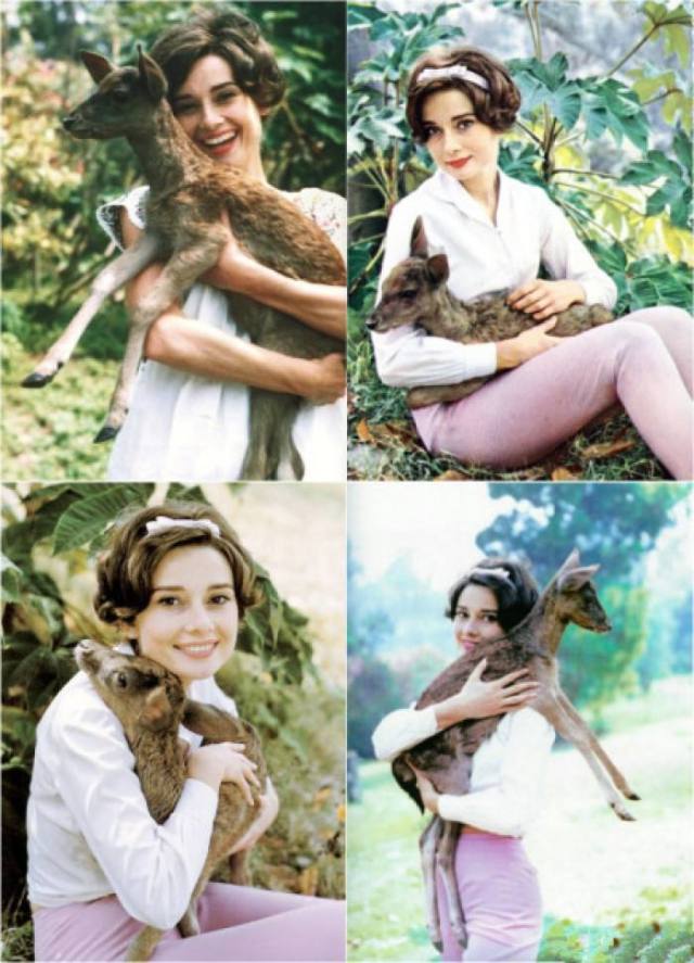 奢侈品的秘密丨揭秘纪梵希小鹿包与奥黛丽·赫本的传奇经历~