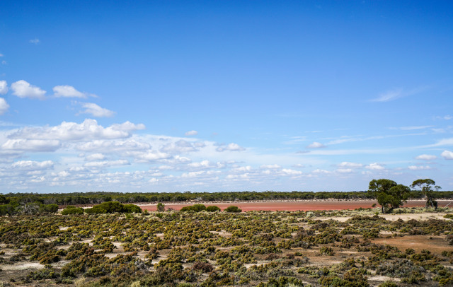 澳洲｜有人在澳大利亚住了一辈子，也没有听说过这样的生活方式