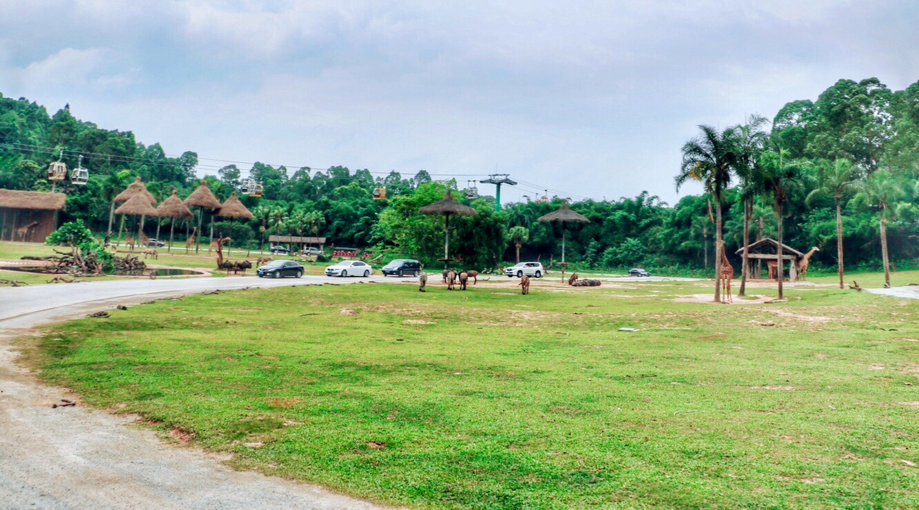 一月广州长隆野生动物园游玩攻略,长隆海洋王国不可错过