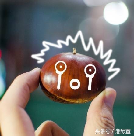 一说到栗子，就让人想到“举栗子”？