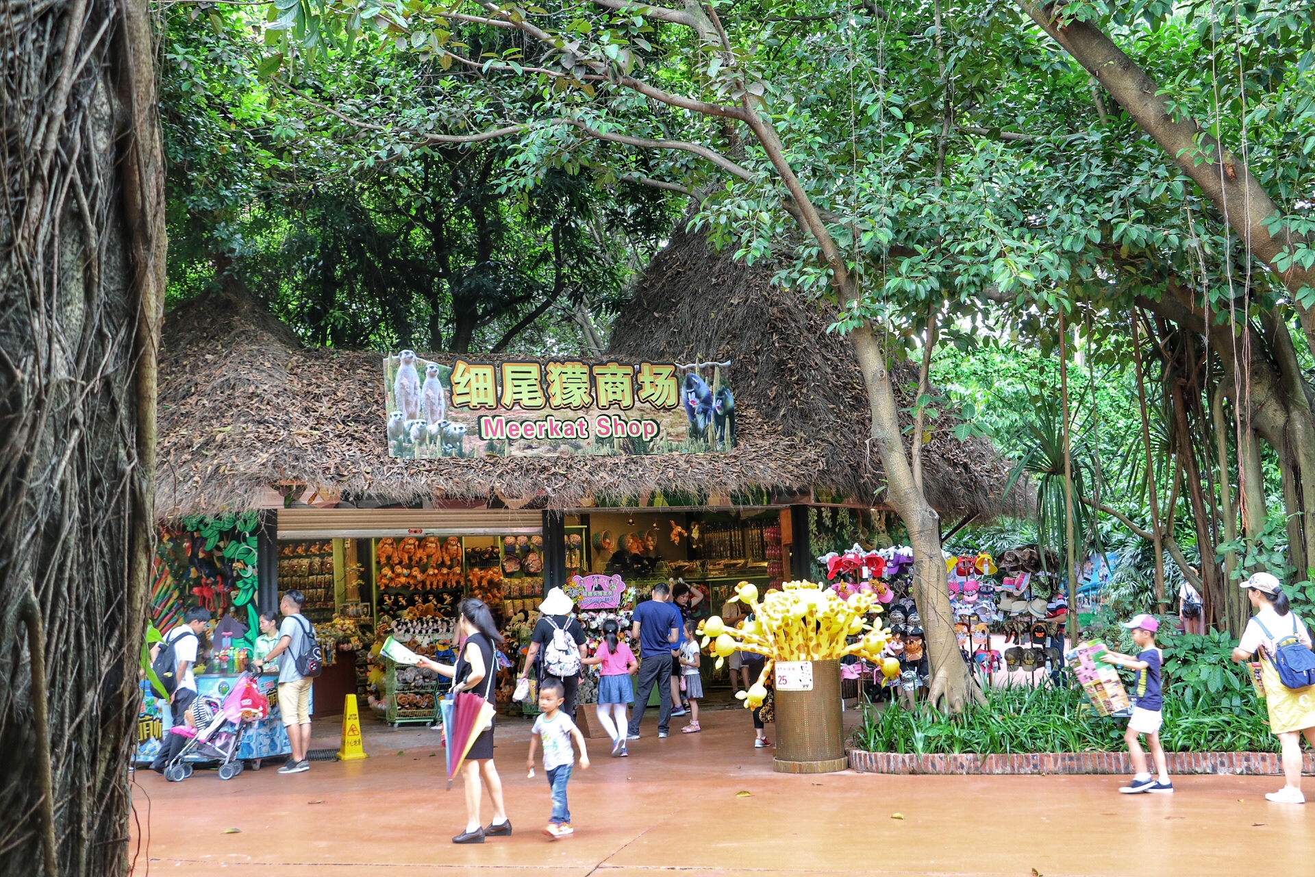 一月广州长隆野生动物园游玩攻略,长隆海洋王国不可错过