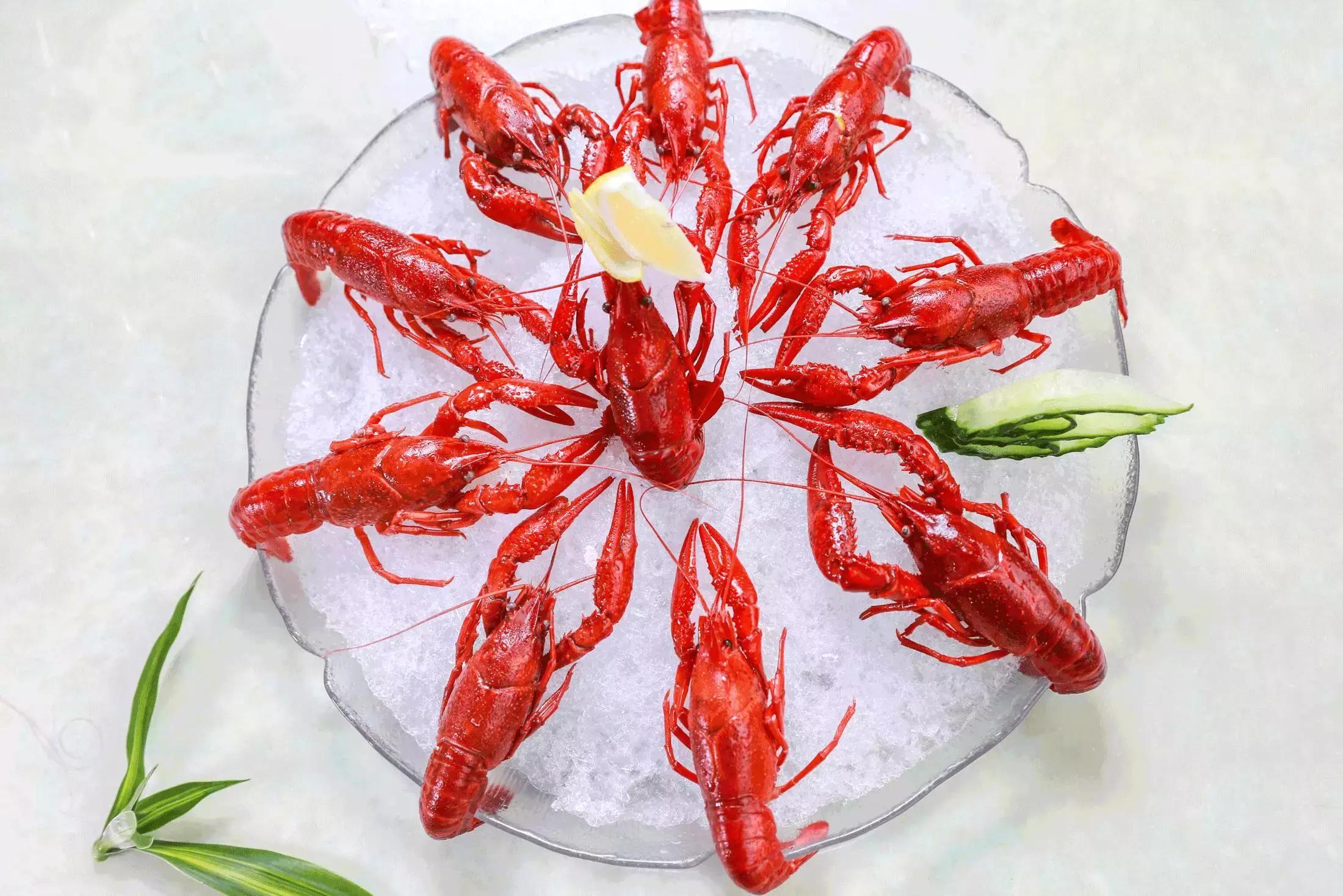 广州小龙虾视频,广州哪里买鲜活小龙虾