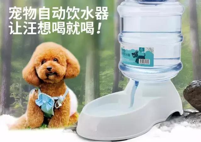 科学小实验吸管隔空取水,水瓶上插吸管小实验什么原理