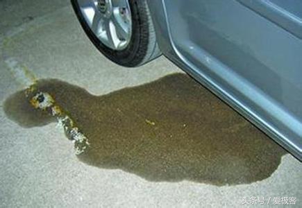 汽车一年养车感受大全,汽车也有生命周期