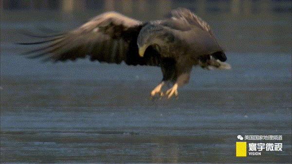 瀵板畤寰瑙ｆ瀽,瀵板畤寰