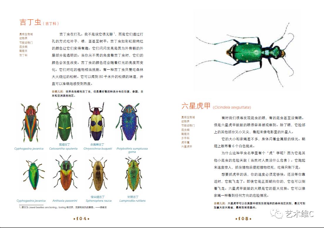 大英博物馆柜子,大英博物馆家具是什么