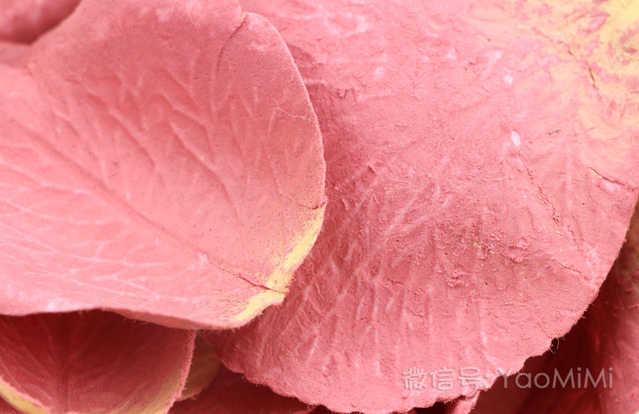 倩碧腮红跟砍妹腮红哪个粉质好,适合初学者的腮红颜值推荐