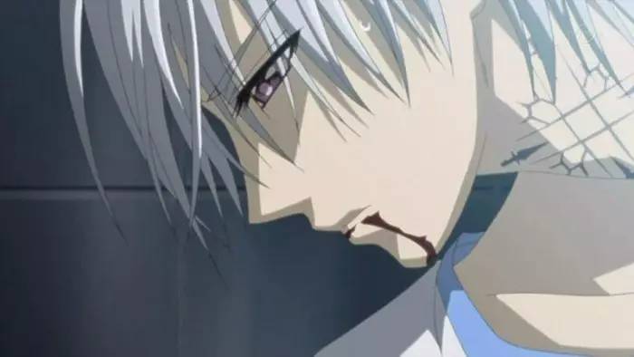 《吸血鬼骑士》,羁绊的爱与恨,来自少女心的宣战!