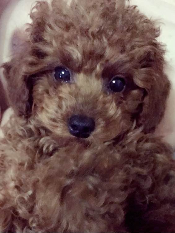 分享所有种草拔草化妆护肤品使用感受