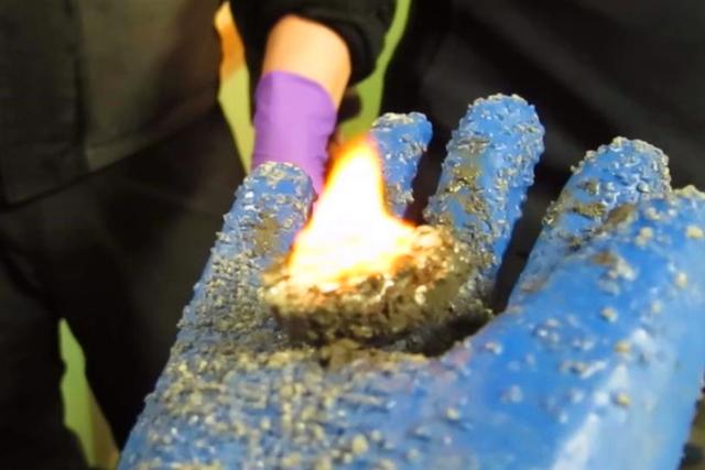 鍐板窛閲婃斁鐢茬兎,鍖楁瀬鍐板窛鍙戠幇鐢茬兎