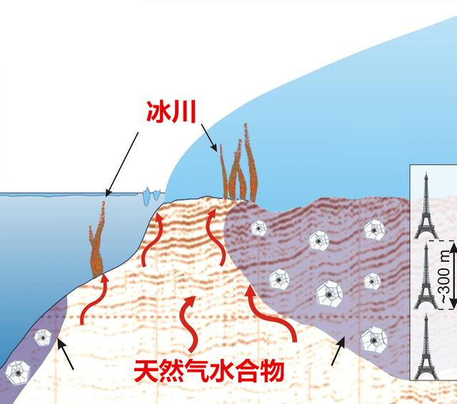 鍐板窛閲婃斁鐢茬兎,鍖楁瀬鍐板窛鍙戠幇鐢茬兎