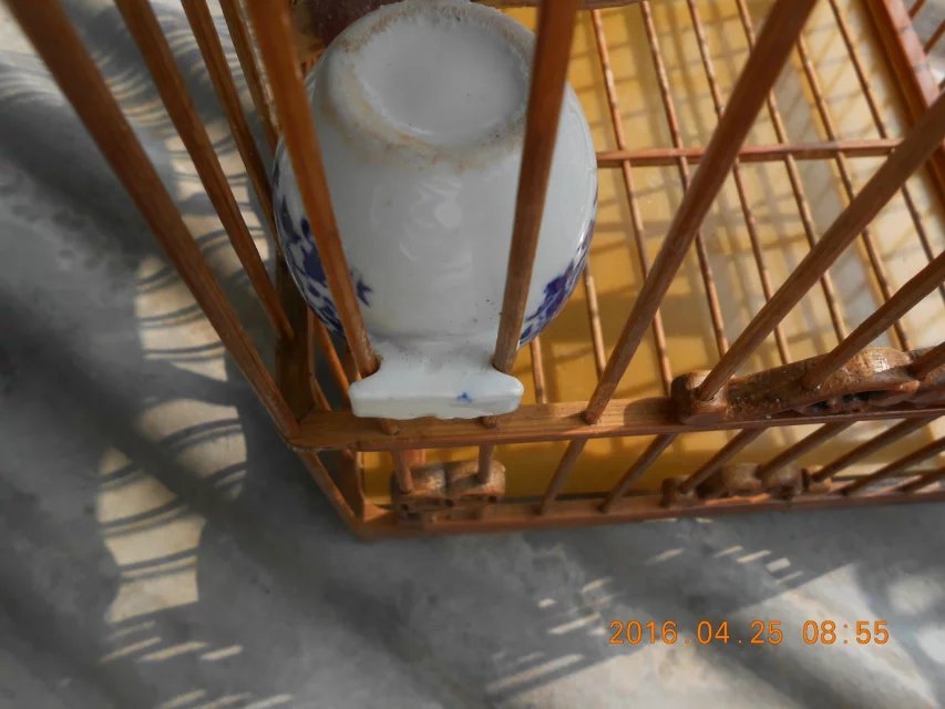 东东画眉鸟套,东东画眉鸟饲料