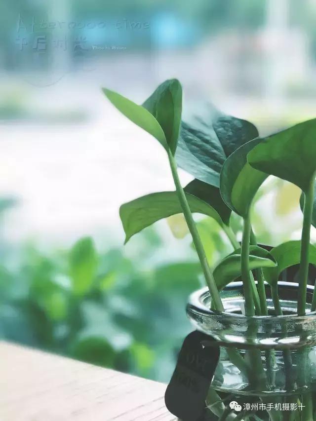 手机拍大片推荐,手机拍出来的大片欣赏
